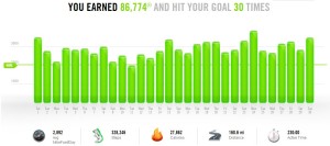 Nike Stats - June 2013